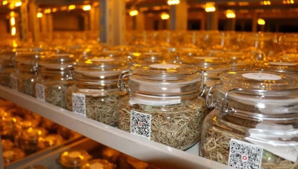 中央一號文件里的內(nèi)蒙古實踐種業(yè)振興篇相關(guān)圖片