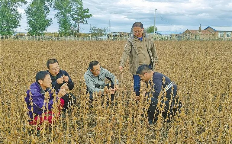 中央一號文件里的內(nèi)蒙古實踐種業(yè)振興篇相關(guān)圖片